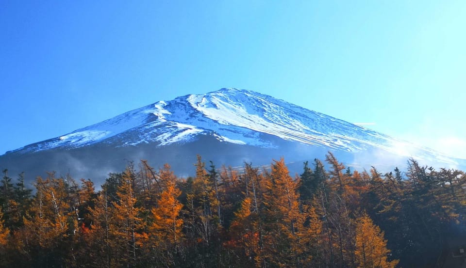 Discovery More Private Trip to Mt. Fuji With English Driver - Transportation Details