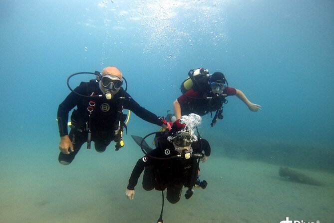 Diving Baptism in the Marine Reserve of Cabo Tiñoso - Guest Feedback and Reviews