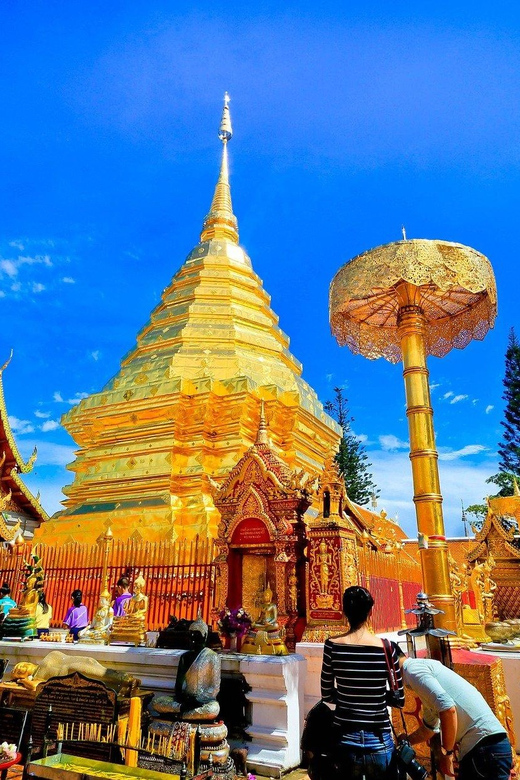 Doi Suthep & Hidden Temples + Orchid Farm +Sticky Waterfall - Wat Phra That Doi Suthep