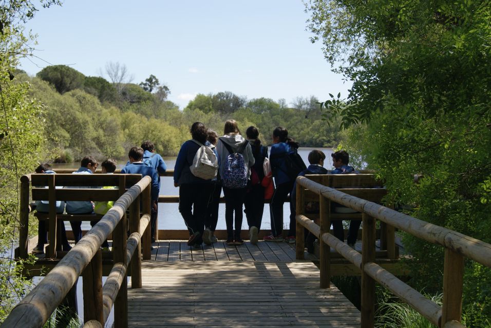 Doñana National Park Off-Road Tour From Seville - Inclusions