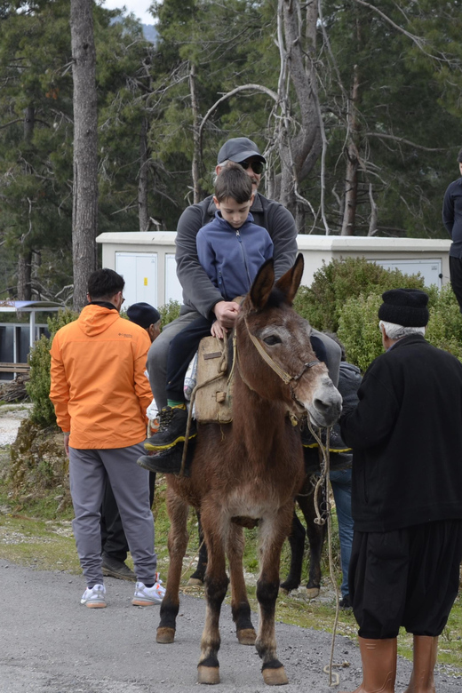 Donkey Safari and Village Tour With Lunch - Cultural Immersion