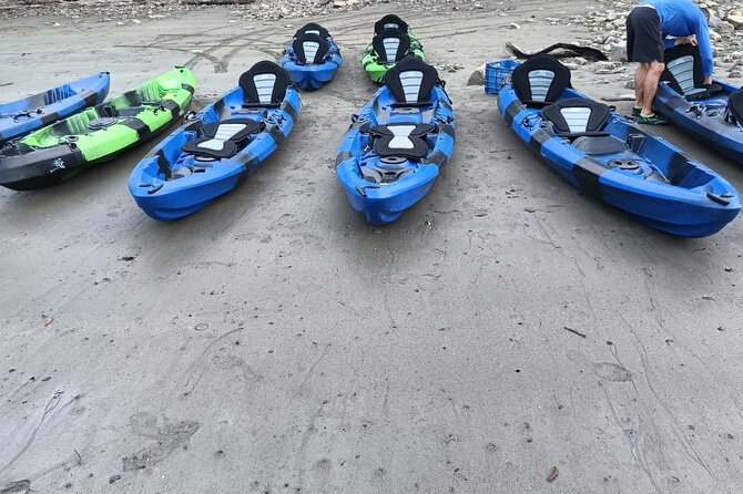 Double Kayak Bioluminescence Tour in Costa Rica - Customer Feedback and Reviews