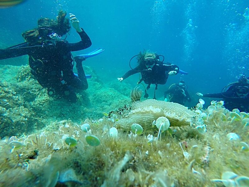Dubrovnik: 1-Day Discover Scuba Diving Course - Included Experiences
