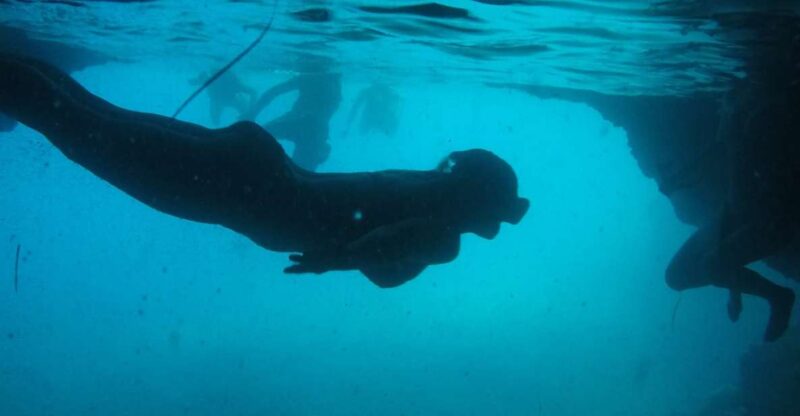 Dubrovnik: Blue Cave & Sunj Beach Boat Tour With Drinks - Experience and Highlights