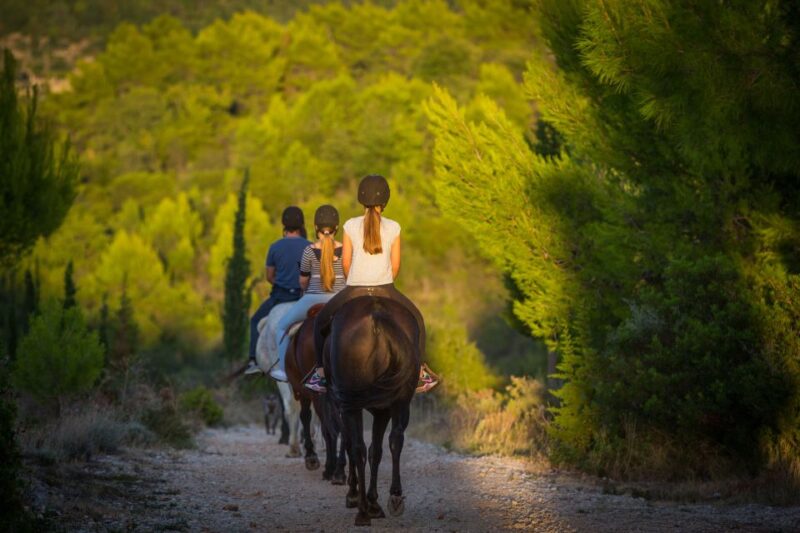 Dubrovnik Kojan Koral: Horseback Riding - Inclusions