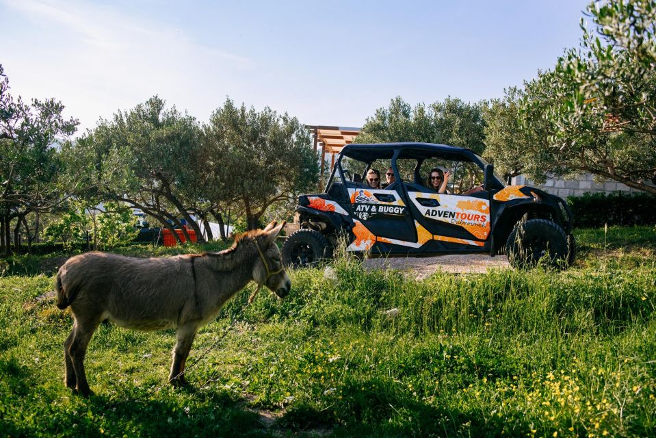 Dubrovnik: Private Buggy Safari Guided Tour (3 Hours) - Experience and Activities