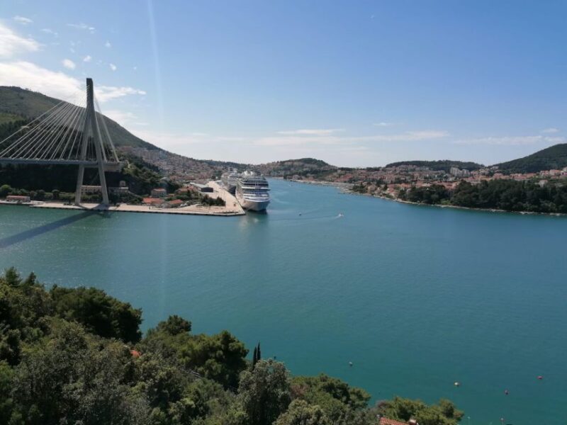 Dubrovnik: Private City Panorama Tour - Scenic Highlights