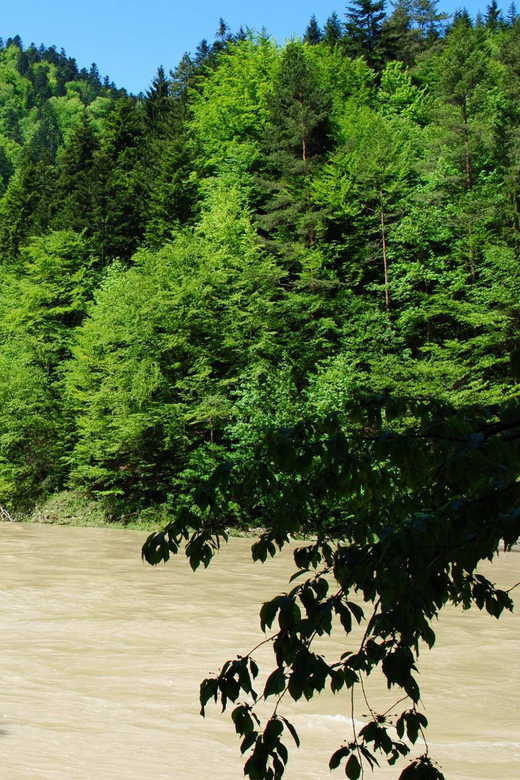 Dunajec River Rafting Tour From Krakow - Experience Highlights