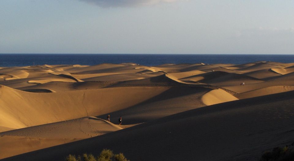 E-Bike Family Tour : Sightseeing Maspalomas Playa Del Ingles - Participant Requirements