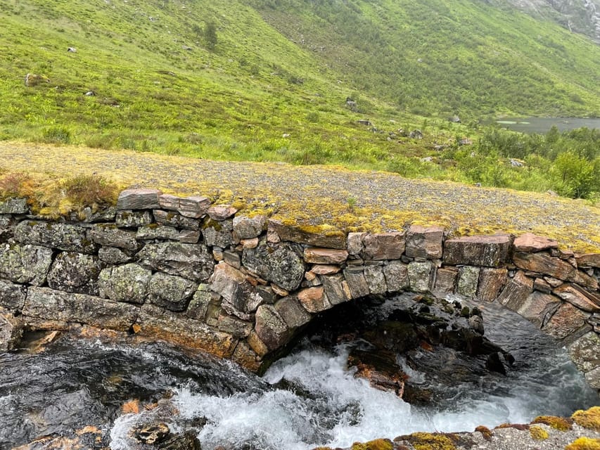 E-Bike Tour of Hellesylt to Norangsdalen - Electric Bike Features