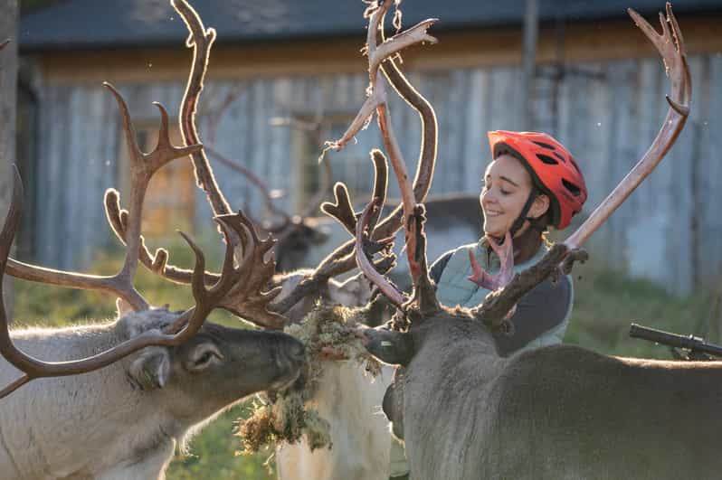 E-FATBIKE TRIP TO THE REINDEER FARM - Unique Riding Experience