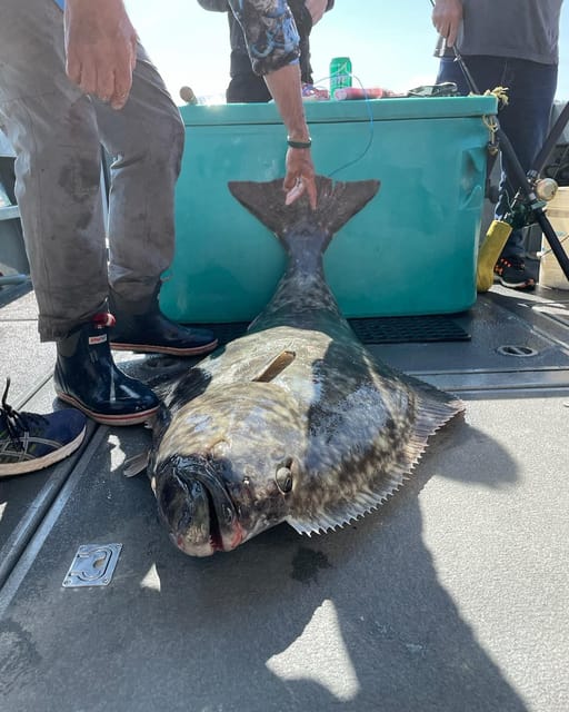 Ear Mountain Charters Tours: Whale Watching and Fishing - Vessel Details