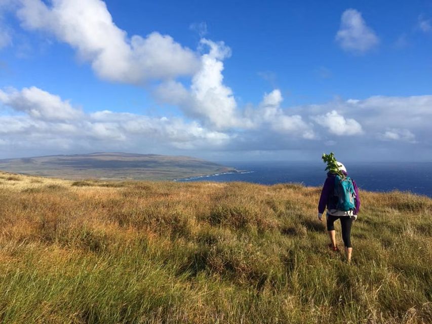 Easter Island: Poike Volcano Private Hiking Tour With Guide - Itinerary Highlights