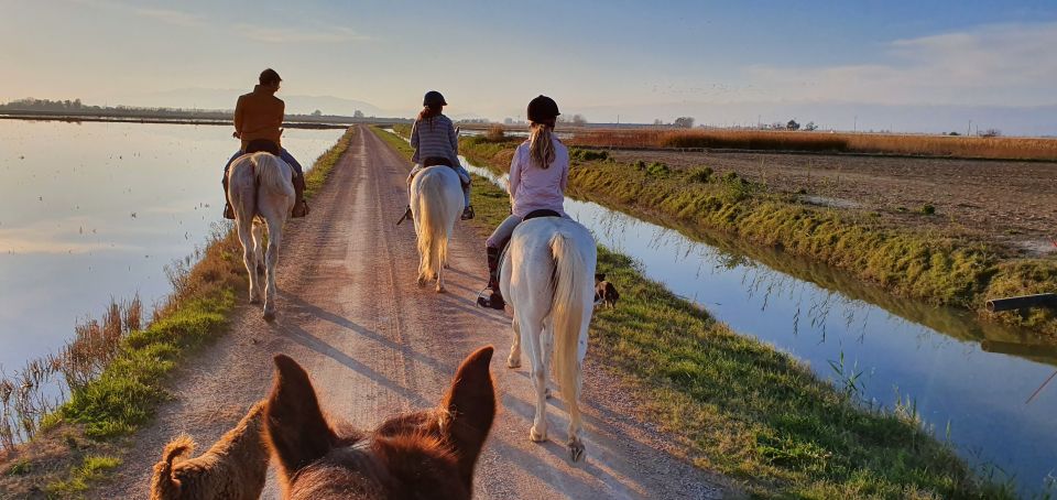 Ebro Delta National Park: Guided Horseback Riding Tour - Highlights of the Tour