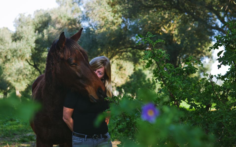 El Palmar: Reconnect Thanks to Coaching With Horses - Horses as Authentic Teachers