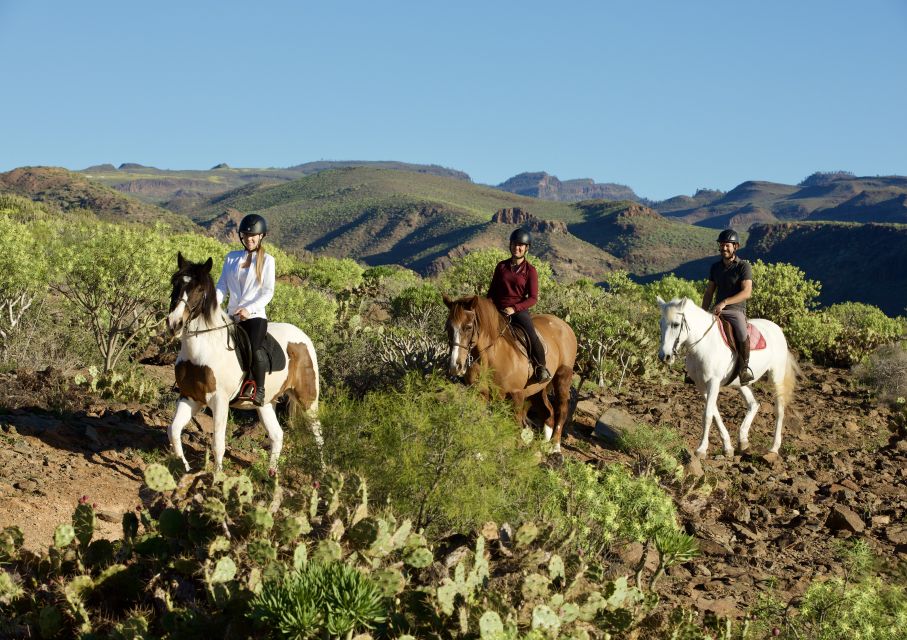 El Salobre: Horse Riding Adventure With Transfer Options - Suitability and Accessibility