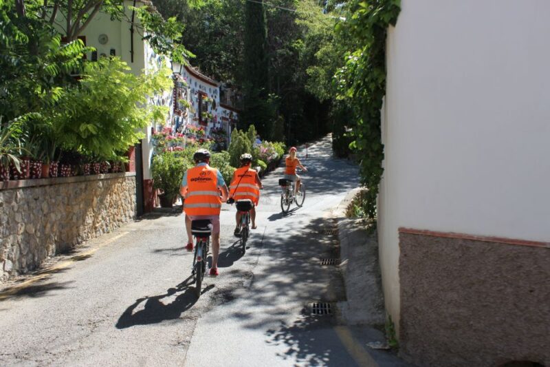 Electric Bike Tour With 2 Options to Explore Granada - Standard Tour