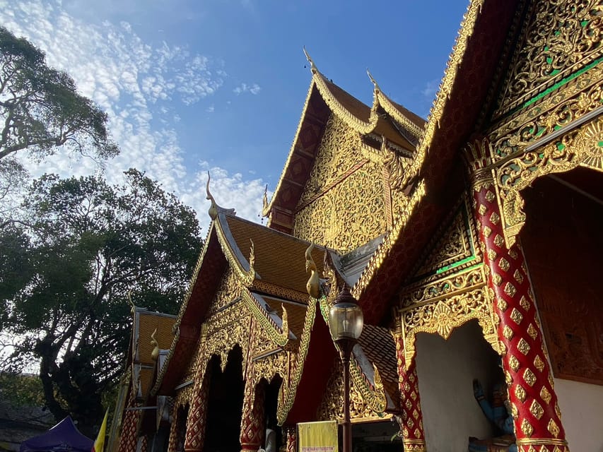 Elephant Care With Wat Umong, Doi Suthep and Night City View - Recommended Attire and Items