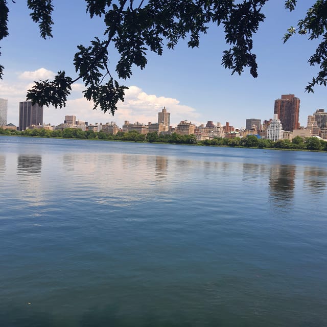 Elevate Your Energy: Outdoor Yoga in Central Park - Wellness Focus