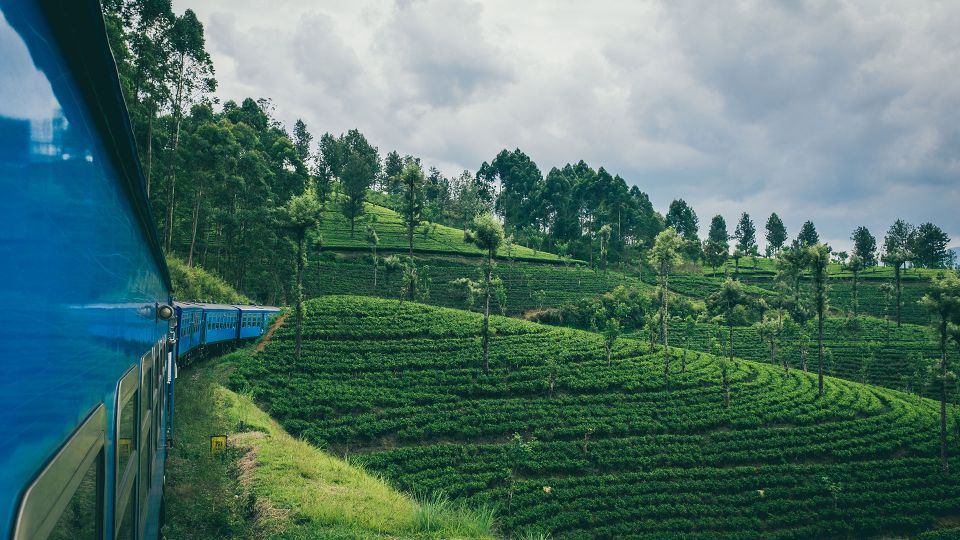 Ella: First-Class Scenic Train Ticket To/From Kandy - Journey Experience