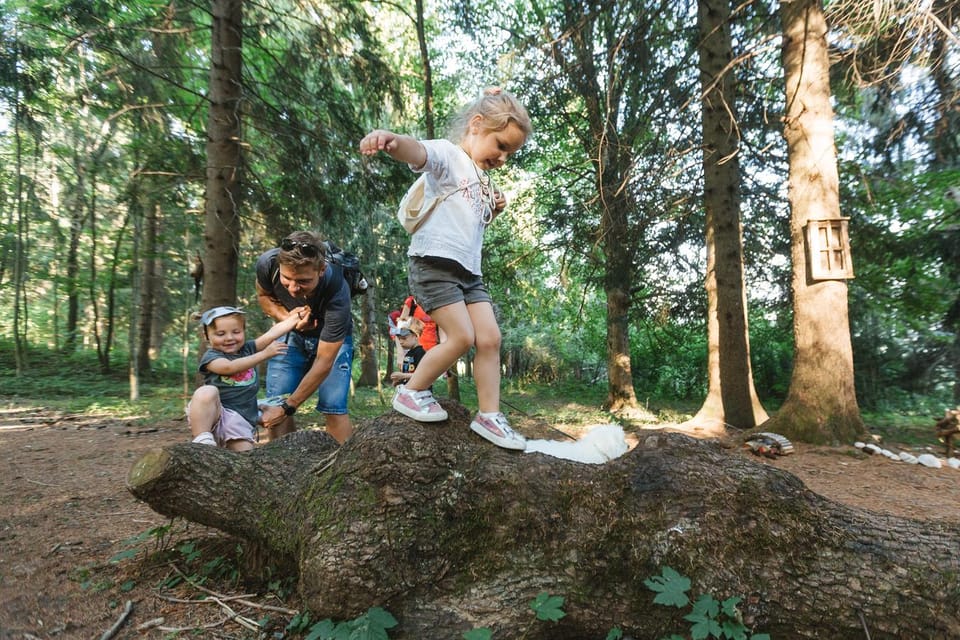 Enchanted Forest Family Avdenture in Lake Bled - Interactive Trail Features