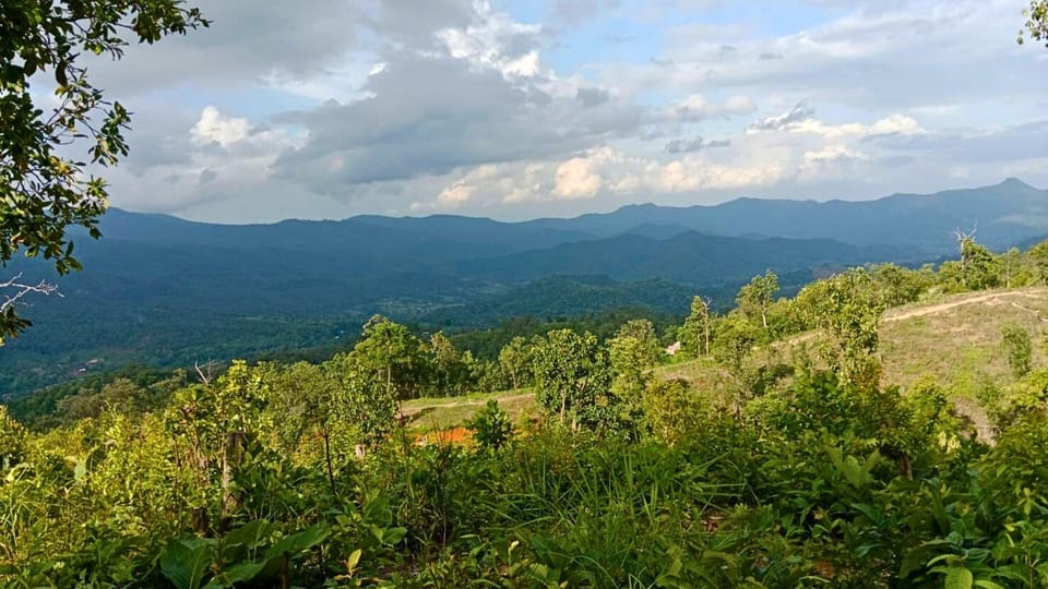 Enchanting Jungle Full-Day Trekking in Chiang Mai - Highlights