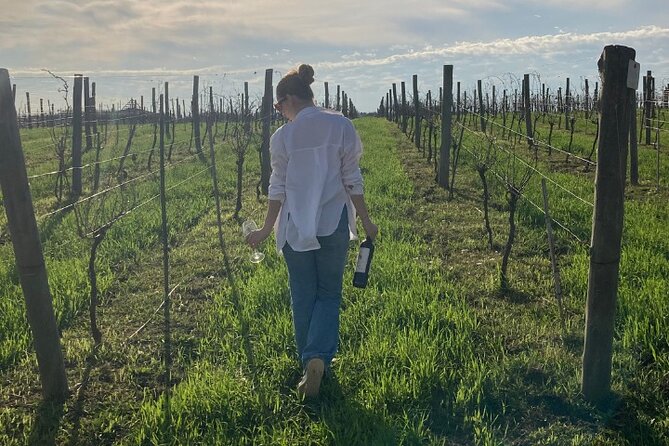 Enjoy a Rural Experience in a Vineyard Near Buenos Aires - Transportation and Accessibility