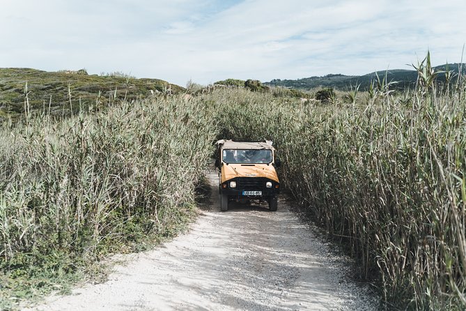 Epic Off-Road Adrenaline in Sintra - Highlights and Attractions