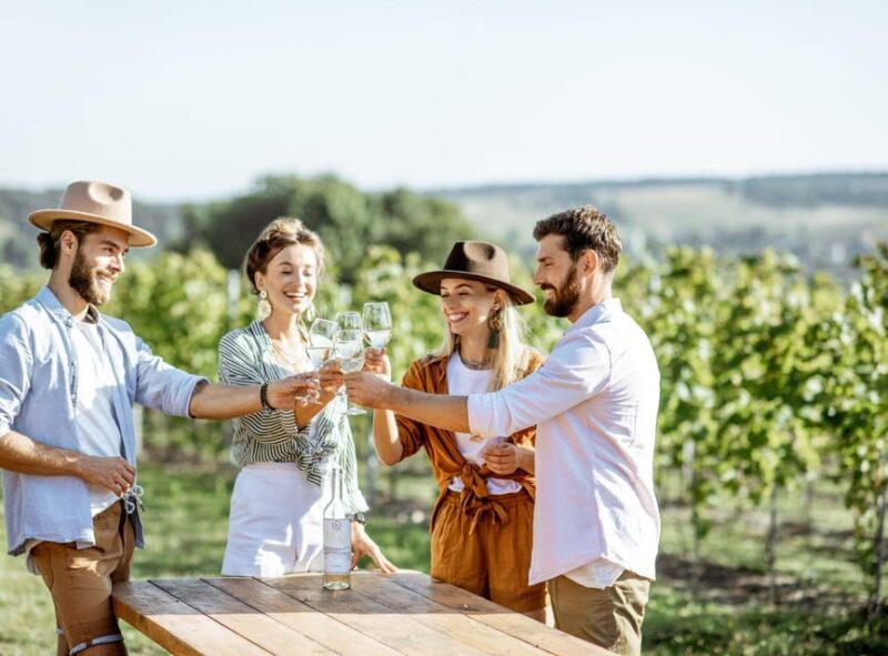 Ercolano Vineyards, View Cellar Wine Tasting and Brunch - Meeting Point and Information