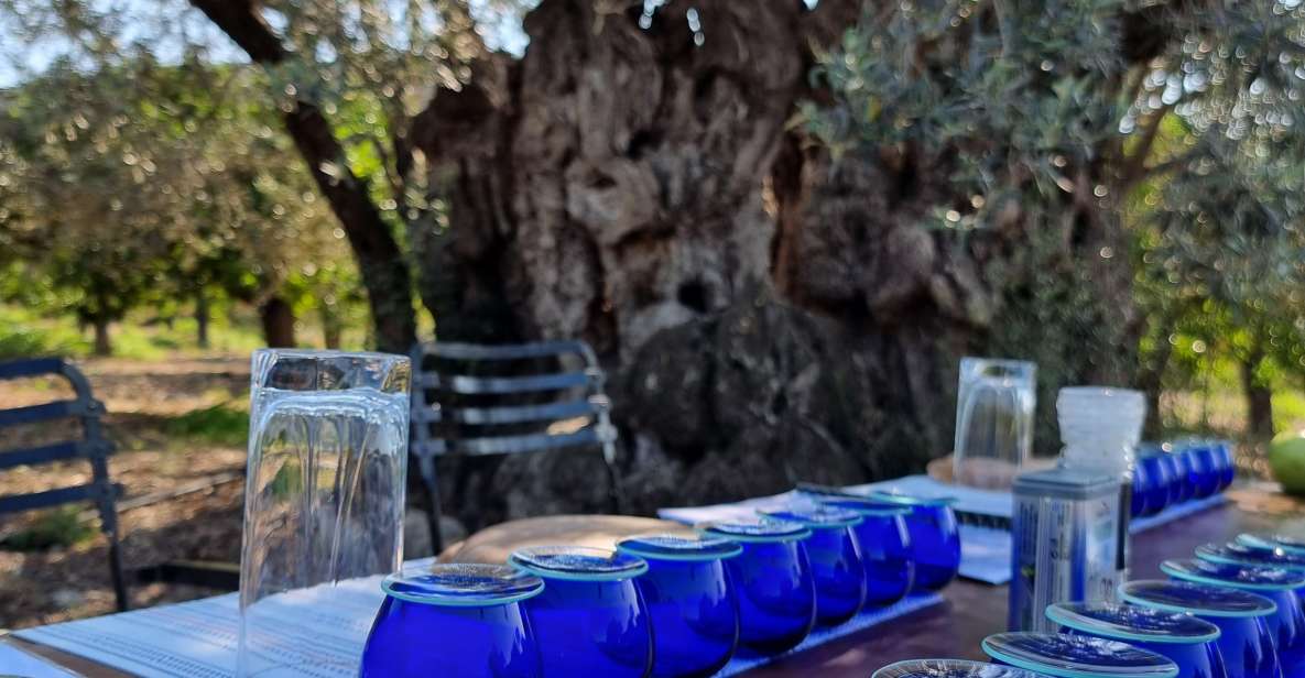 Ermioni: Olive Oil Tasting & Millennial Olive Tree Tour - Learning Outcomes