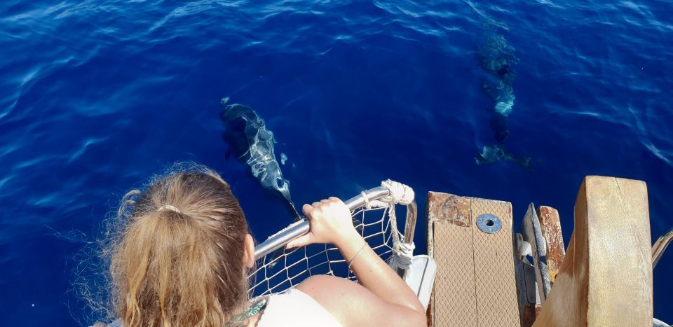 Estepona: Boat Trip Dolphin Search With Drink and Snacks - Booking Information