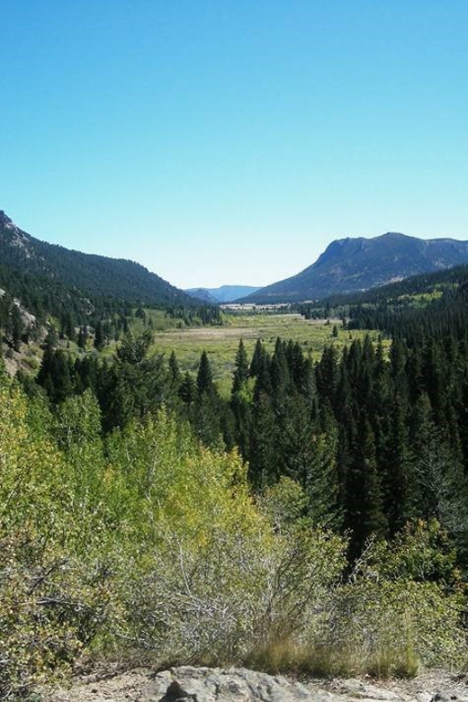 Estes Park: Private Hiking Tour to a Secluded Waterfall - Mountain Scenery and Diverse Wildlife