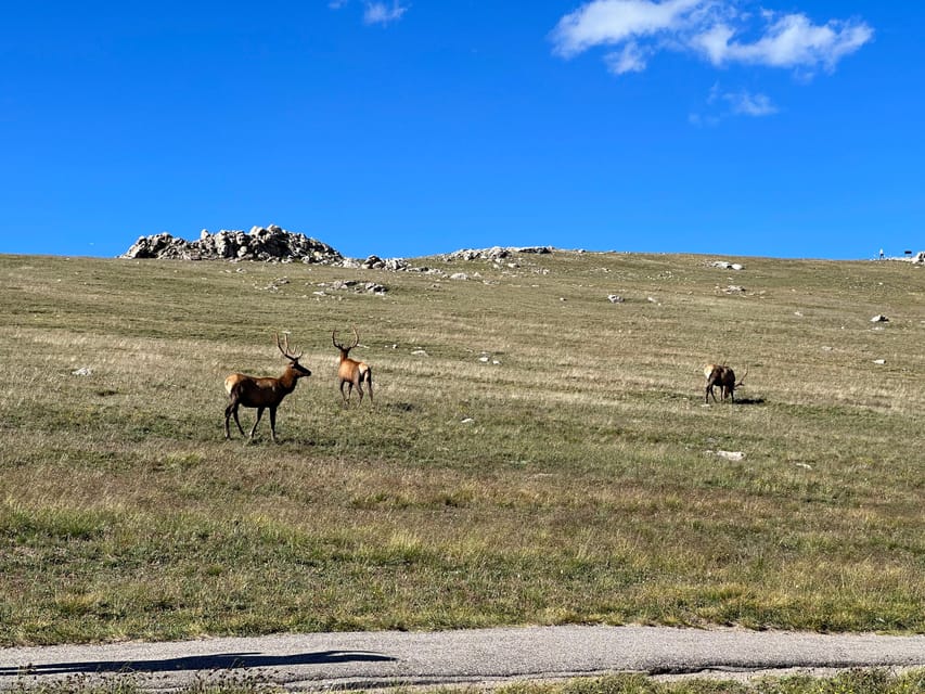 Estes Park: Rocky Mountains Trail Ridge Panoramic Bus Tour - Pricing and Inclusions