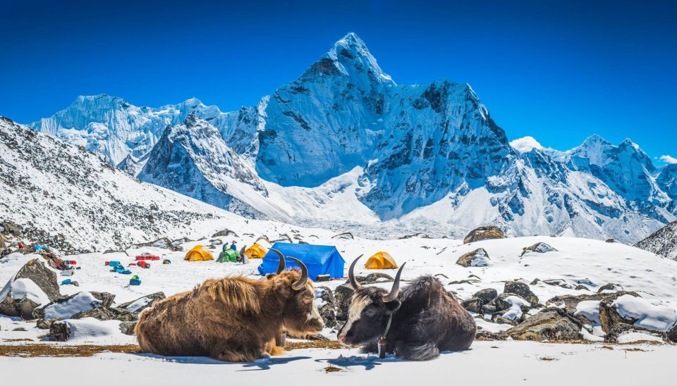 Everest Base Camp Trek: Conquer Worlds Highest Base Camp - Preparing for Physical Challenges