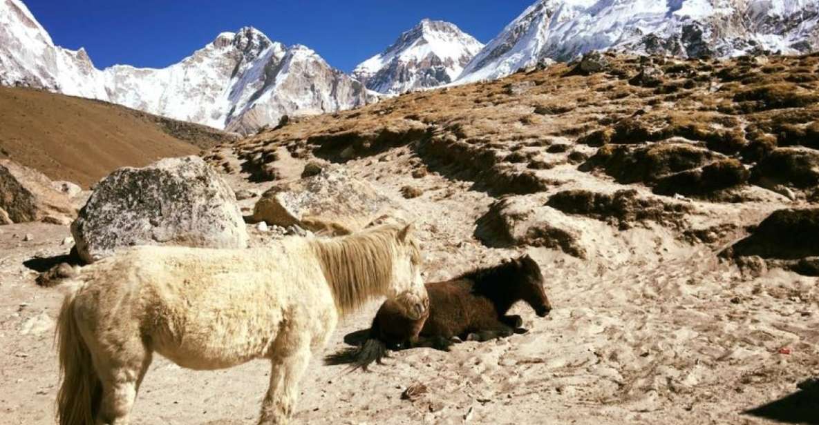 Everest Base Camp Trek Kala Patthar Trek - 13 Days - Inclusions During Trek