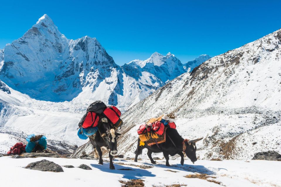 Everest Base Camp Trek With Gokyo Lakes - 16-DAY Adventure - Daily Itinerary