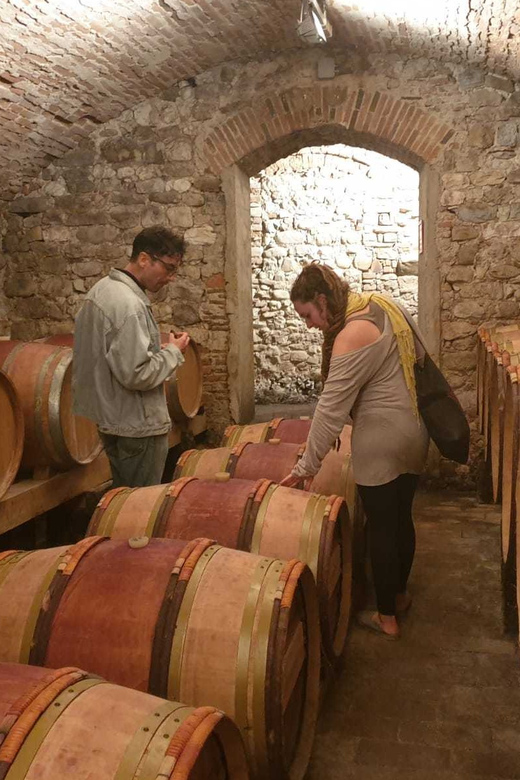 Exclusive Half-Day Chianti Wine Tour With Lunch at Farm - Highlights and Activities