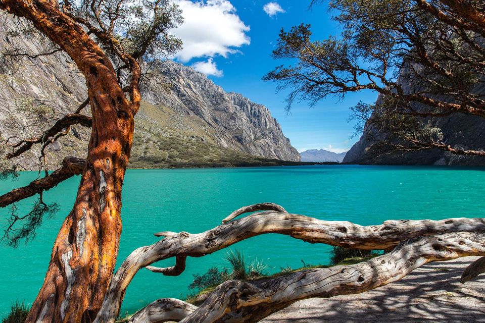 Excursion to Huascaran National Park + Chinancocha Lagoon - Experience Highlights