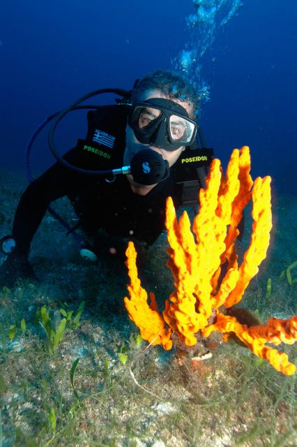 Experience 2 Tank Scuba Diving on Paros - Safety and Equipment