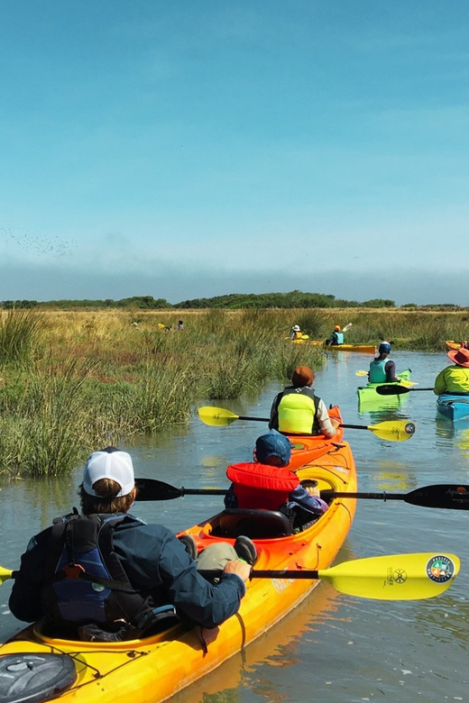 Explore Humboldt Bay by Kayak - Inclusions