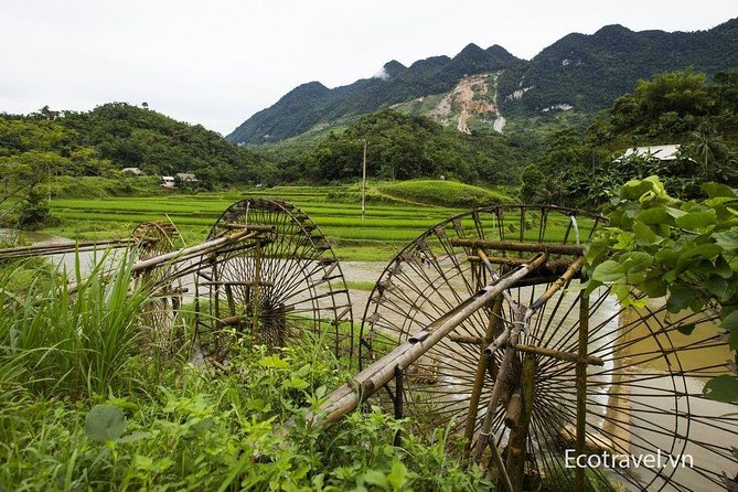 Explore Mai Chau - Pu Luong - Ninh Binh 4 Days / 3 Nights - Day 2: Exploring Pu Luong Nature Reserve