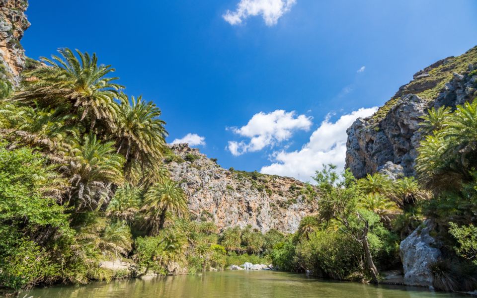 Explore Preveli Palms, Damnoni Beach & Historic Rethymno - Damnoni Beach and Preveli Palm Beach