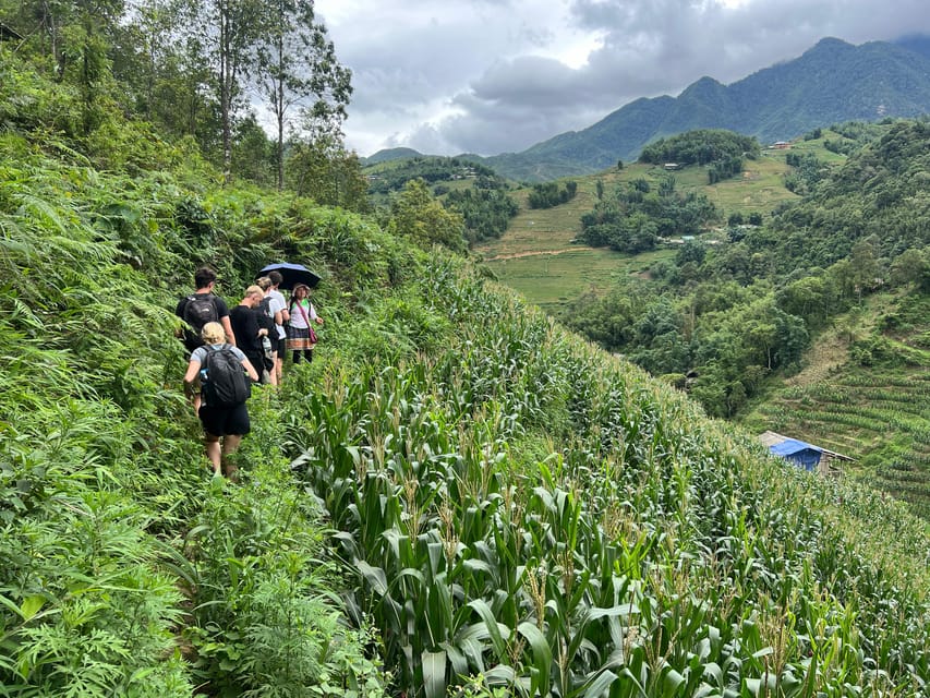 Explore Sapa by Trekkingadventures, Mountain,Rice Fields - Inclusions and Exclusions