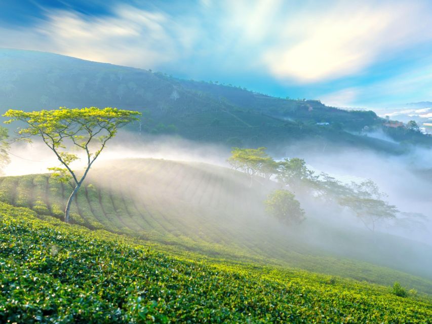 Explore the Best of Dalat Countryside Tour (Private Car) - Cultural Experiences