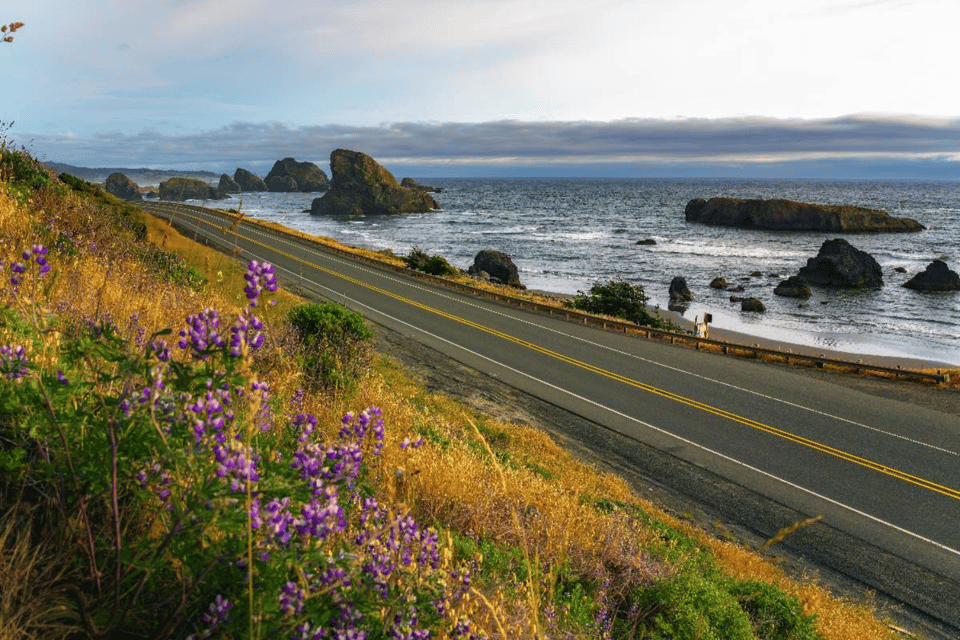 Explore the Oregon Coast: Scenic Driving Tour - What to Bring and Important Information