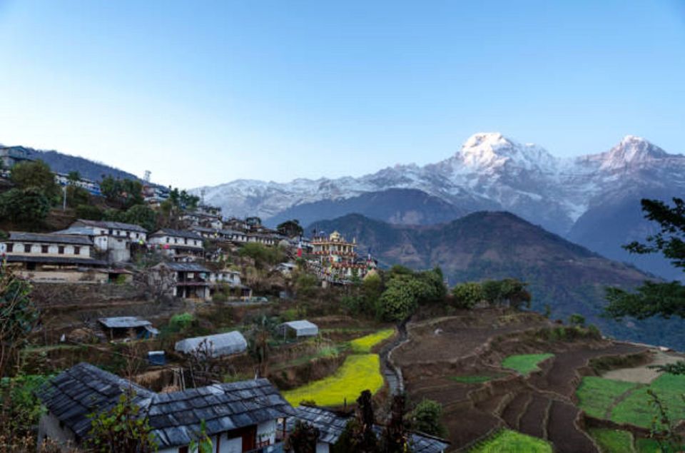 Exploring Ghandruks Beauty: Guided 3-Day Trek From Pokhara - Pricing Information