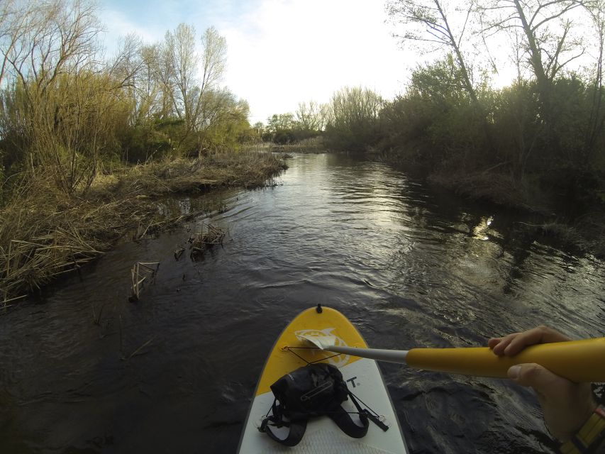 Extremadura: Paddle Surf Guided Tour on Valdecañas Reservoir - Experience Highlights