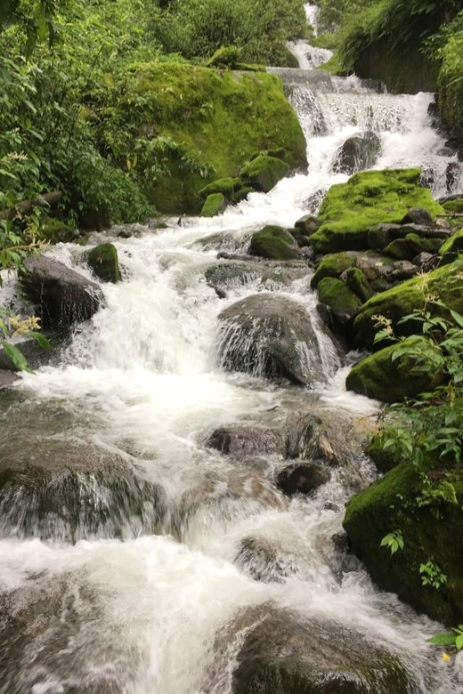 Family Helambu Circuit Trek - Whats Included