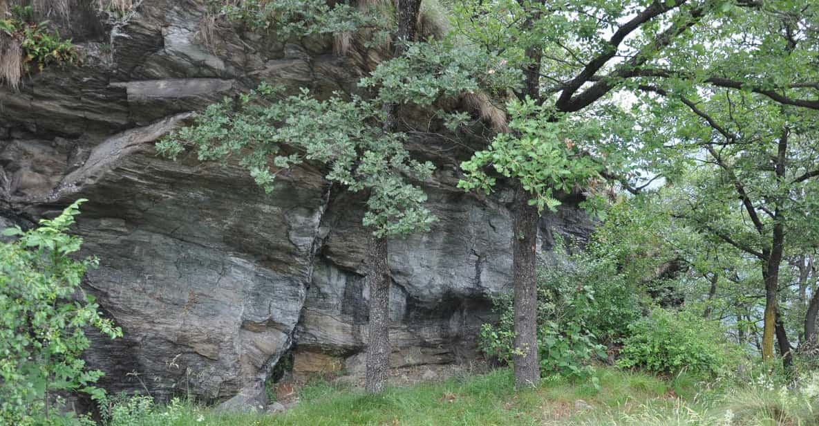 FAUNA AND FLORA OF EXPOSED AND ENGRAVED ROCKS - Unique Flora of Exposed Rocks