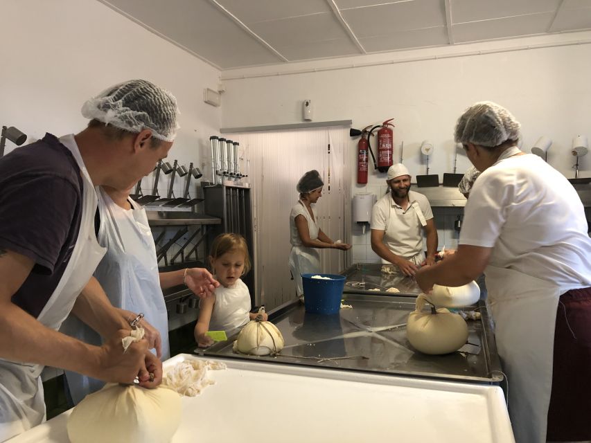 Ferreries: Cheesemaking and Farm-Fresh Product Tasting - Feeding the Cows and Calves